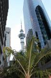 Journée Visite d'Auckland : 3ème jour